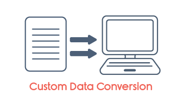 custom data conversion services